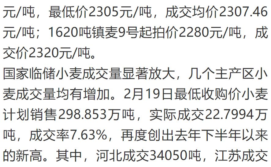 小麦最新行情深度分析