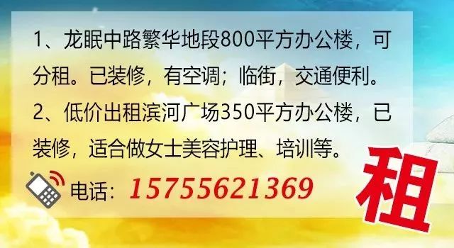 桐城网招聘网最新招聘动态深度解析及岗位信息汇总