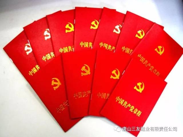 最新党章引领时代，凝聚力量创未来