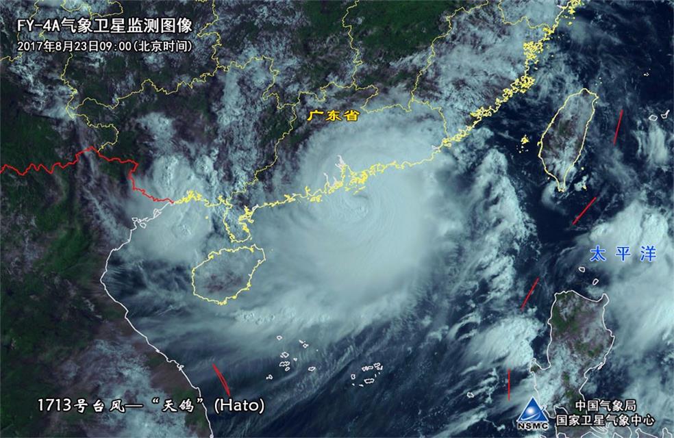 台风天鸽最新消息及应对准备指南，初学者与进阶用户的必备指南