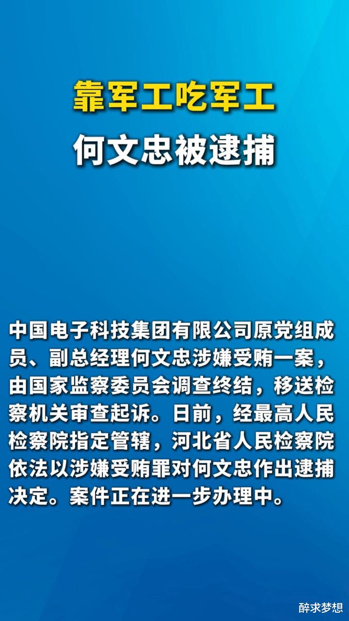 揭秘靠军工吃军工背后的故事，何文忠被逮捕震惊真相！