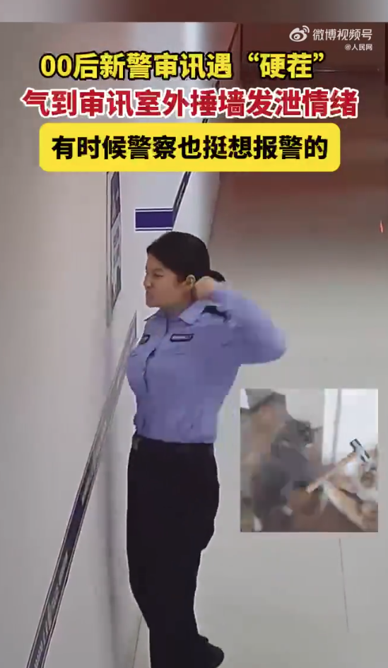 如何应对00后女警被审讯对象激怒至捶墙的情景，任务技能学习指南