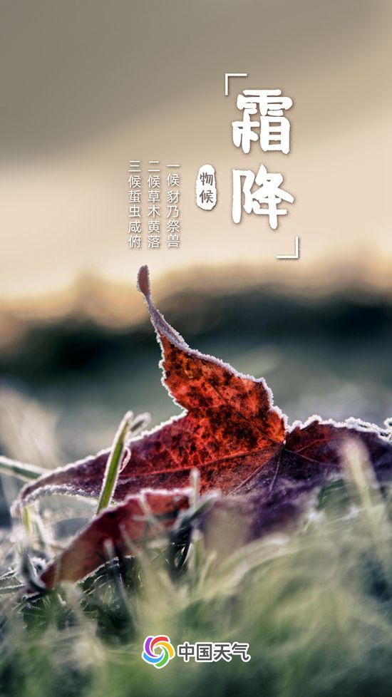 霜降时节昼夜温差可超10℃