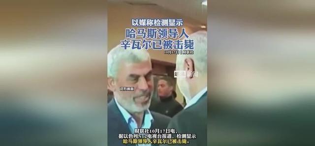 加沙男子辛瓦尔被杀事件，逆境中的学习与成长之路