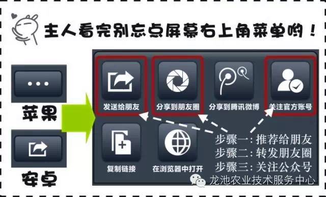 新奥管家婆免费资料2O24_地震最新消息1分钟前,全面设计执行数据_至尊版38.41.88