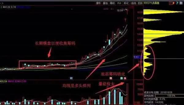 新澳门精准资料期期精准最全_轰20最新消息,专业分析解析说明_旗舰款38.51.29