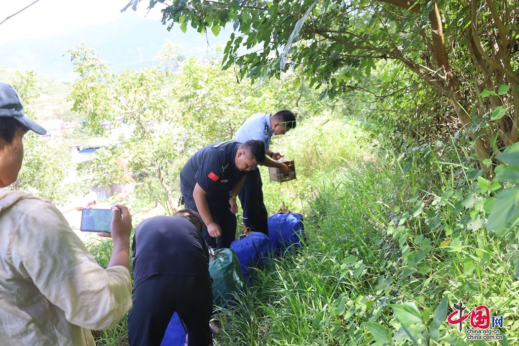 哀牢山非法捕猎遭公诉，科技监管引领山林保护新时代之旅