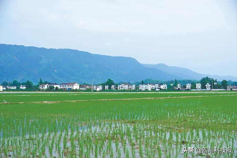 探访山东首家学习困难门诊，科技重塑未来教育，助力学子克服难关