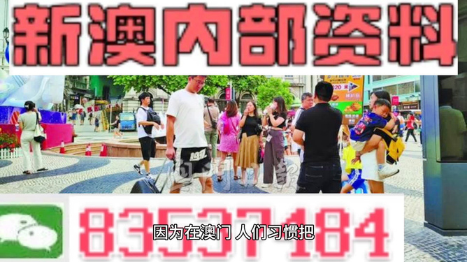 2024年新澳门免费资料大全,全面探讨解答现象解释_AR85.597