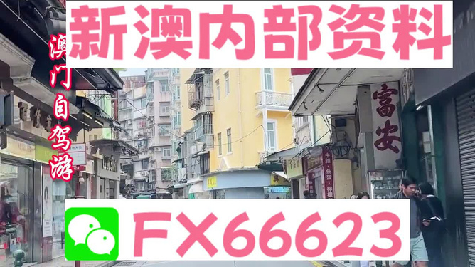 新澳最精准免费资料大全,详细解答落实机制_ZX版43.067