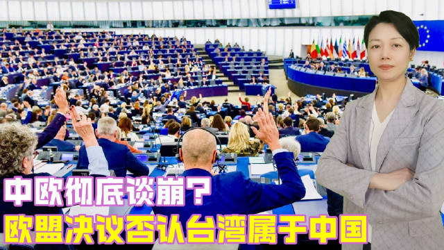 欧洲议会通过涉台决议引发中方回应，坚定维护国家利益与主权领土完整