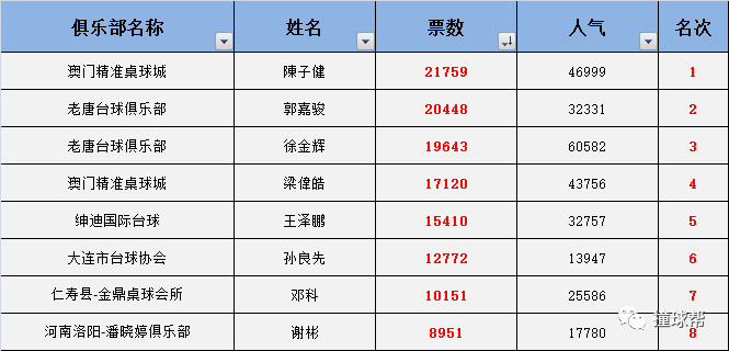 澳门一码中精准一码的投注技巧,数据资料解释落实_个性版AXW218.7