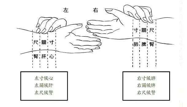 内部秘籍：一码通晓医学精髓——开脉ANE588.02