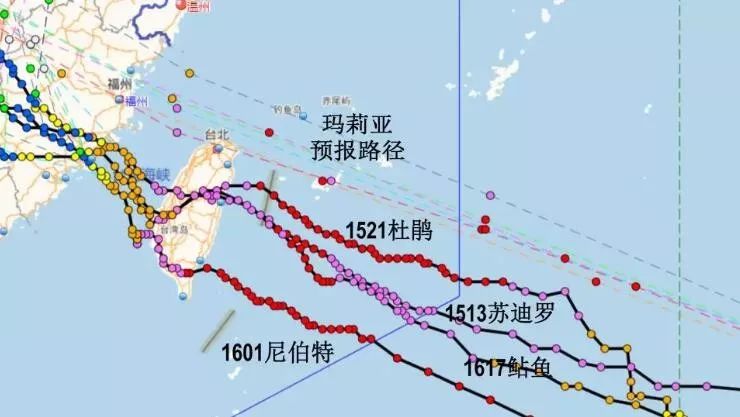 温州最新台风网动态，台风监测与应对策略探讨