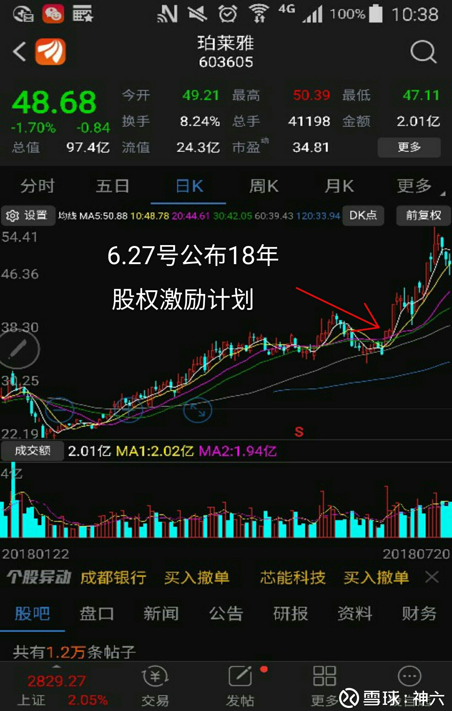 仁和股票最新动态深度解析与观点阐述