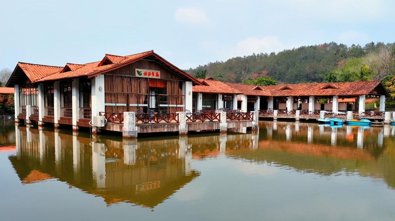 河源古竹最新动态，探索自然美景，寻觅内心平和之旅