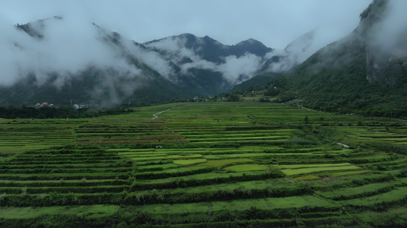 成安新闻最新动态，自然美景探索之旅，寻觅内心平和与宁静的旅程