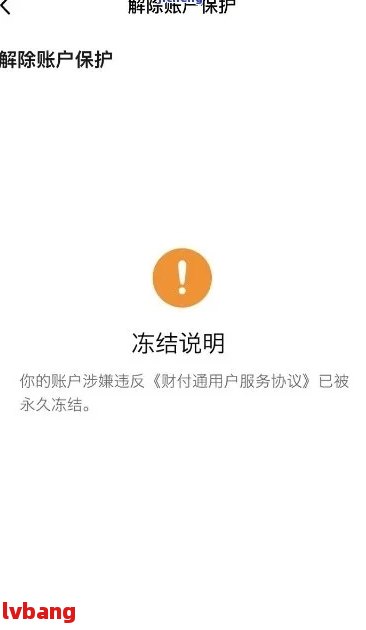 冻结账户时间的最新法规及其步骤指南解析