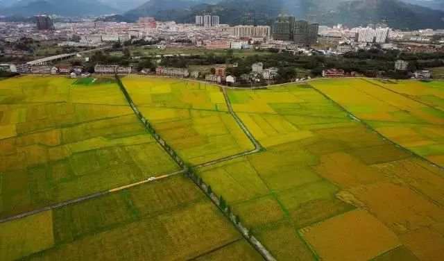 裕华区宋村最新动态，自然美景的探索之旅