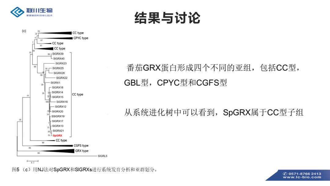 2024正版新奥资料免费分享，解析解答详实_JIW网页版4.15.48