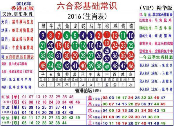 2024生肖49码策略图表，精巧布局FKX7.65.89管控版