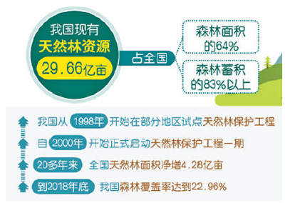 新奥精准免费资料分享，解析需求分析落实策略_KWG仿真版