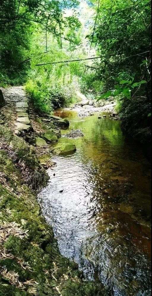 三国杀最新，心灵与自然的美景之旅体验