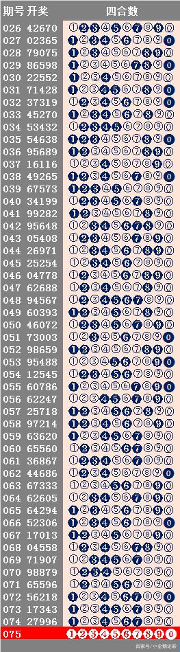 59631.cσm查询澳新开奖,执行验证计划_RFL98.125时空版