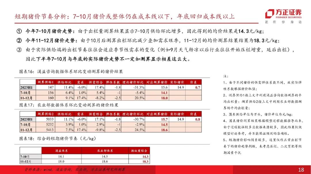 最新猪价行情回顾与洞察