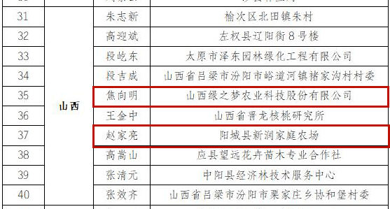 安宁区马维龙任期2024,深入研究执行计划_TQF98.101冒险版