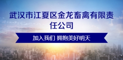 武汉最新招聘信息概览，背景、事件与地位