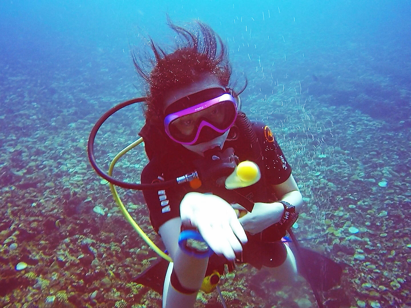 最新下海冒险之旅，启程探索未知海域！