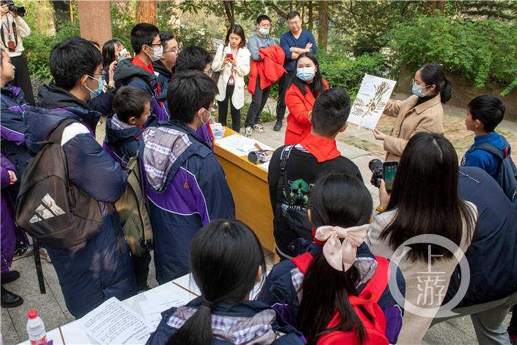 澳门疫情最新动态与绿色心灵之旅，大自然呼唤的平静之旅