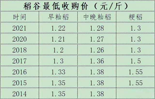 最新稻谷价格概览与分析