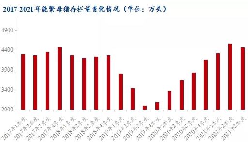 花生最新行情深度解读与个人观点立场探讨