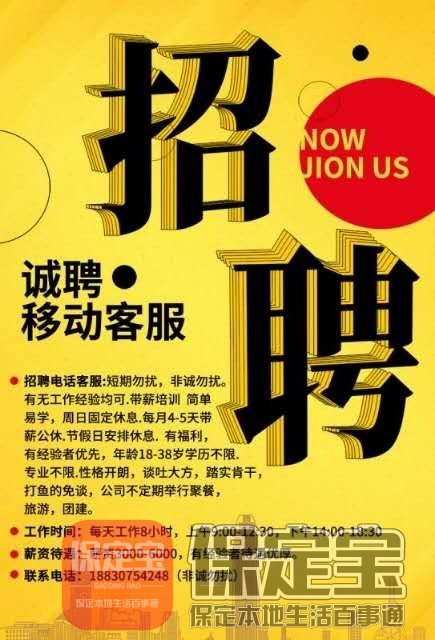 保定最新招聘，友情与工作的交汇点，温暖与喜悦的启程