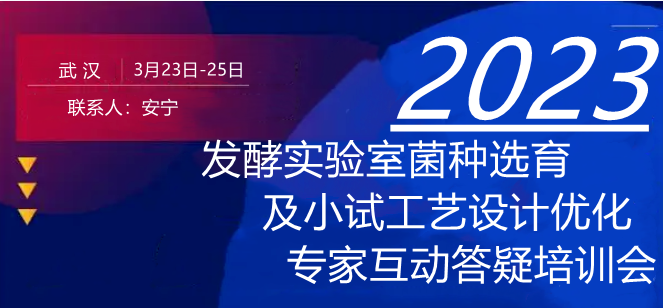 澳门今晚必开一肖1,实地验证策略具体_YDL79.302风尚版