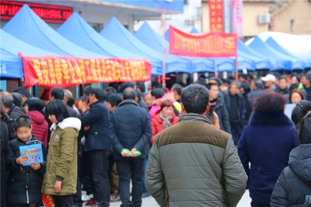 深圳最新招聘信息，启程探索自然美景，寻找内心平和的职场家园