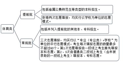 新澳版精准单双大全,专业解读方案实施_RUX79.778私人版