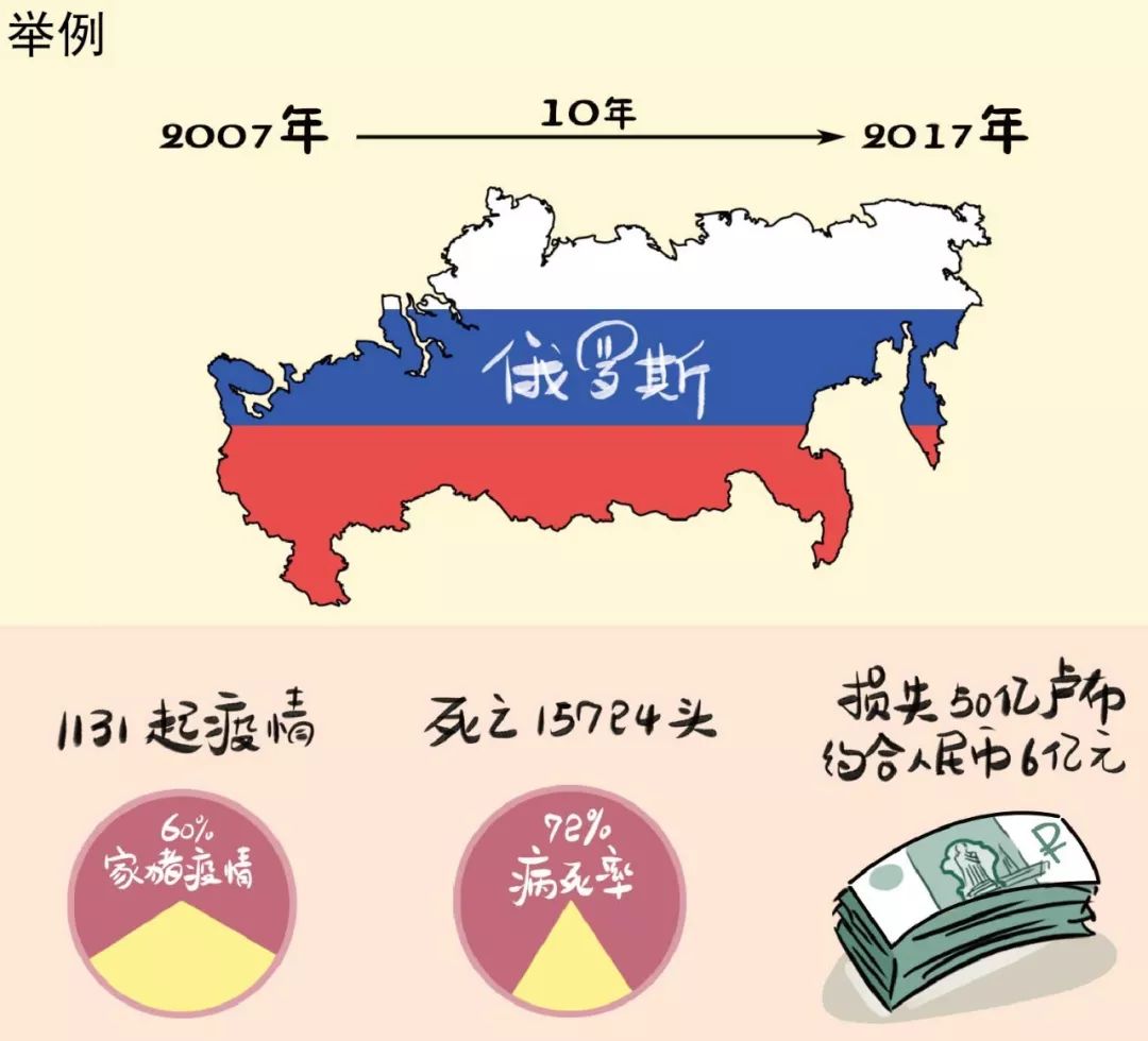 全球猪瘟疫最新动态，防控形势及应对策略更新报道