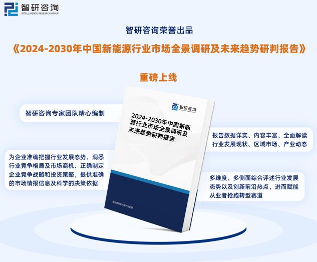 新奥2024年精准资料,数据指导策略规划_WVU23.619精密版