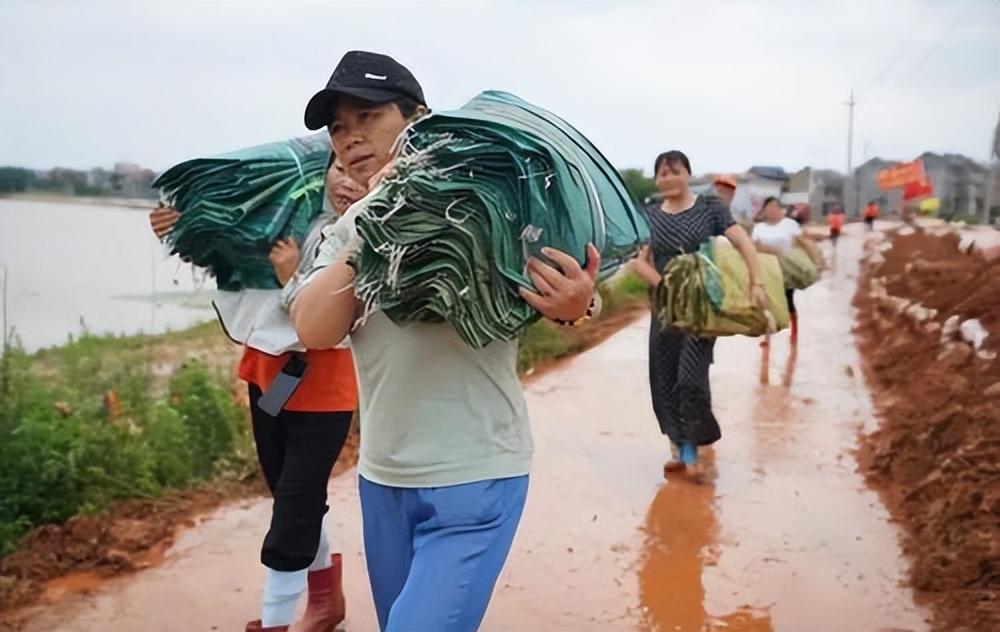 哆啦A梦最新电影，力量之变革与自信成就感的启示