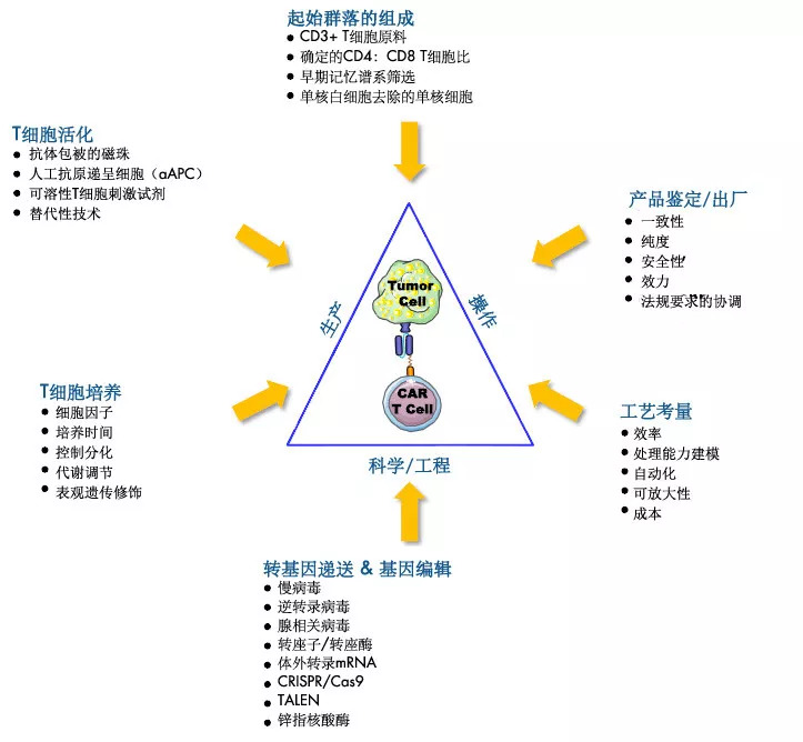 世界最新医学与高科技产品重塑医疗体验的革命