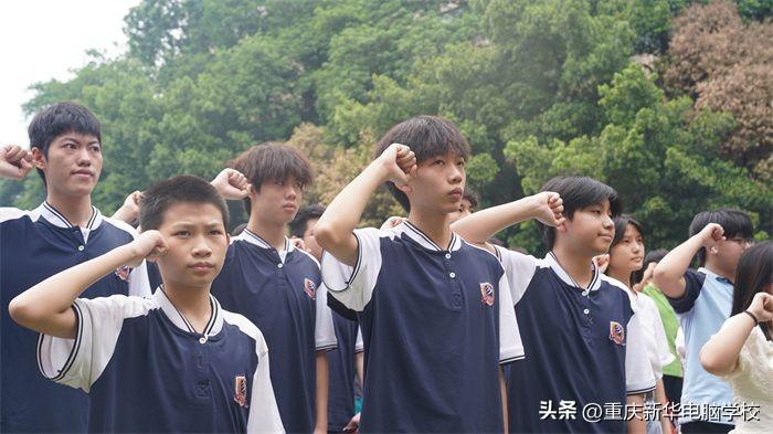 新华保险最新动态，学习、变革与自信的励志征程