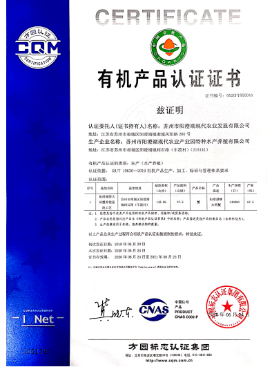 新澳门今晚开什么特马,专业解读操行解决_美学版SUL13.99