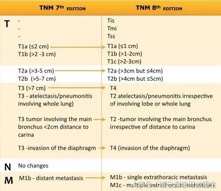 最新tnm分期标准,最新TNM分期标准，肿瘤临床评估的里程碑