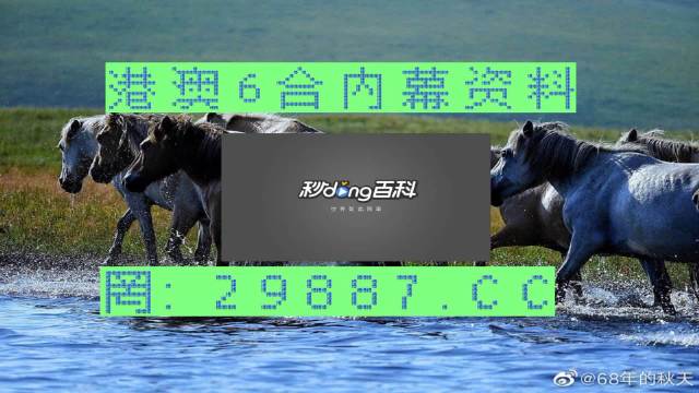 2024年香港买马资料,可靠执行操作方式_XPA37.404复兴版