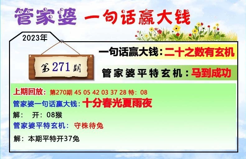 管家婆204年资料一肖,精准解答方案详解_YZM37.429父母版