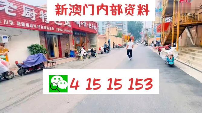 2024澳门天天开好彩大全正版,解答配置方案_别致版96.698