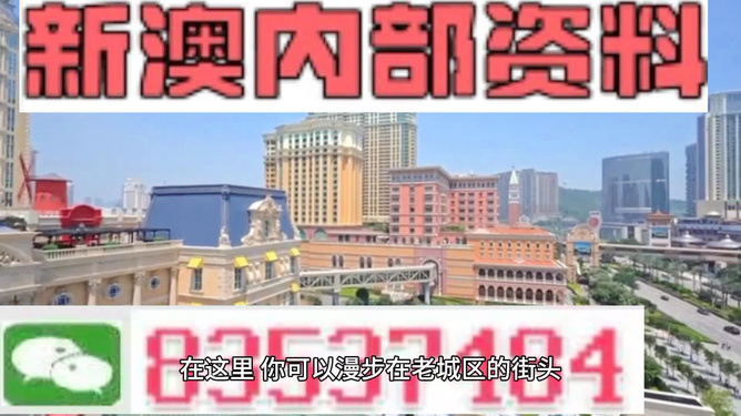 新澳门资料全年免费精准,精准分析实践_模拟版9.561